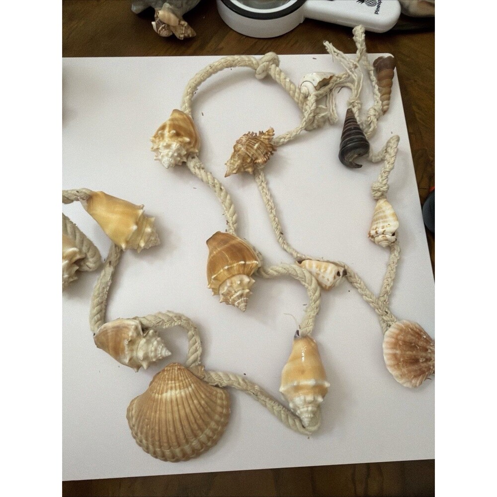 Seashell Garland